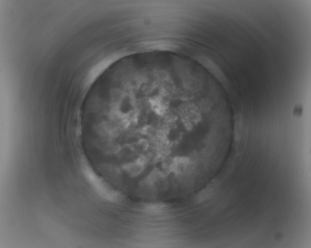 X0000114131031200910151540