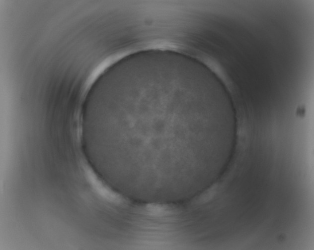 X0000114131032200910151540