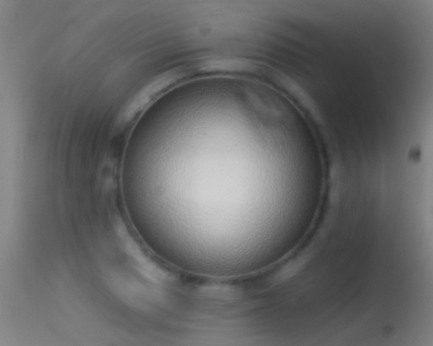 X0000114131033200910151540