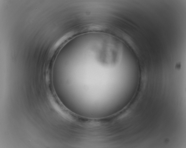 X0000114131034200910151540