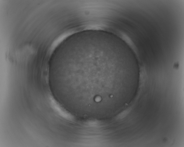 X0000114131035200910151540