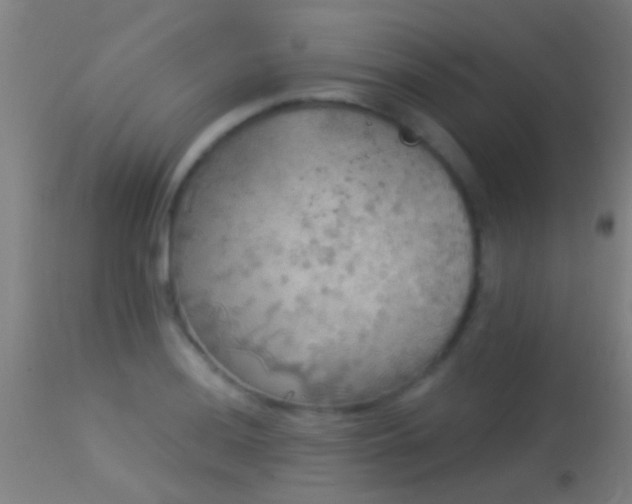 X0000114131036200910151540