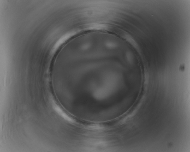 X0000114131037200910151540