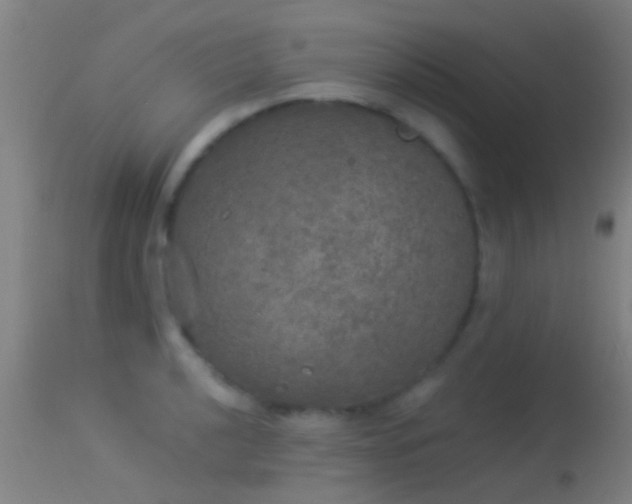 X0000114131040200910151540