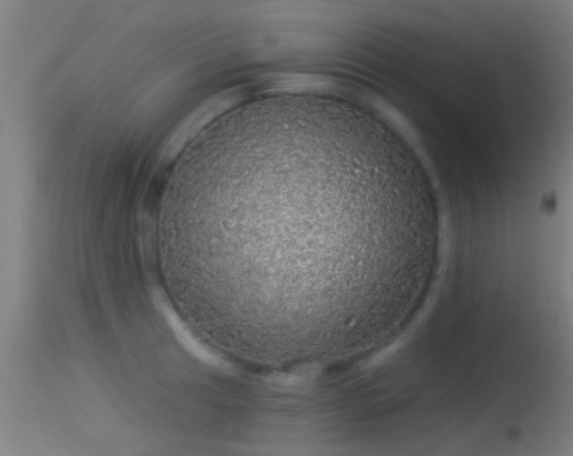 X0000114131041200910151540