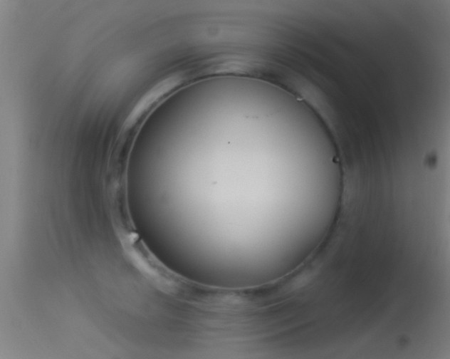 X0000114131042200910151540