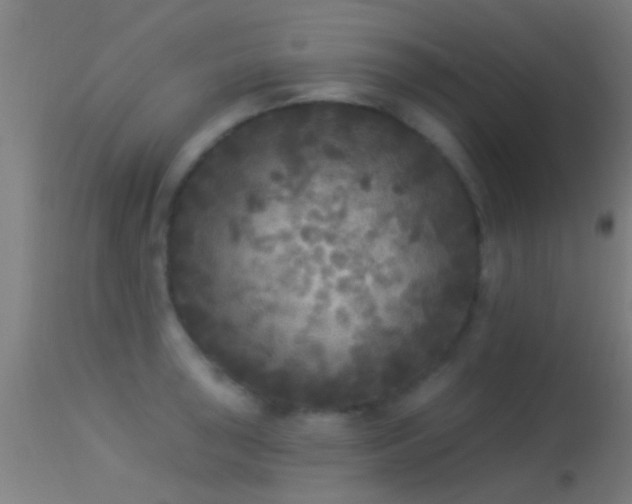 X0000114131043200910151540