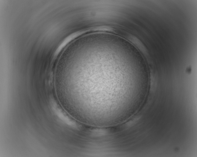 X0000114131044200910151540