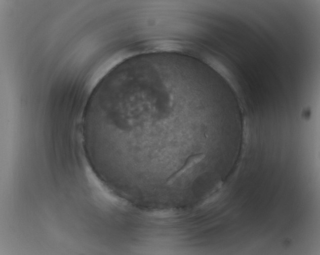 X0000114131047200910151540