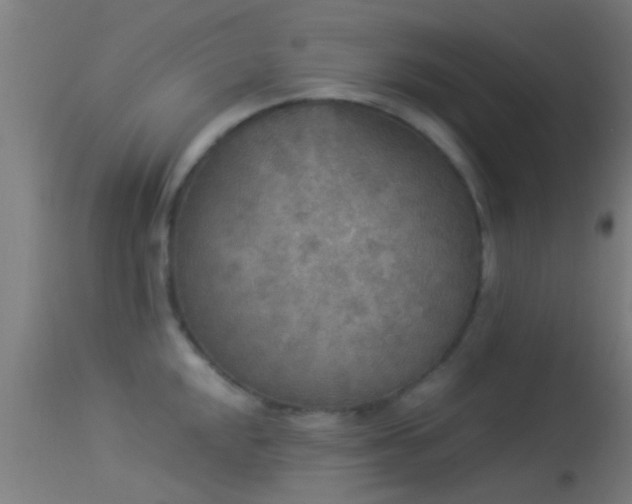 X0000114131048200910151540