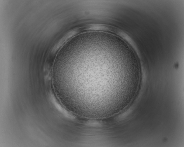 X0000114131049200910151540