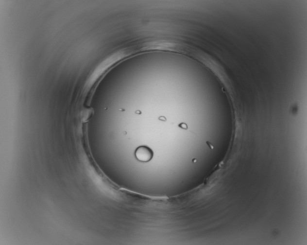 X0000114131050200910151540