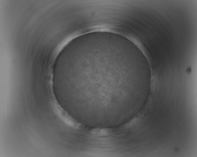 X0000114131051200910151540