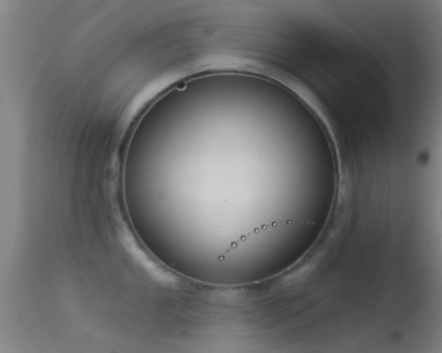 X0000114131053200910151540