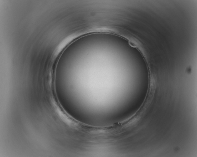 X0000114131054200910151540