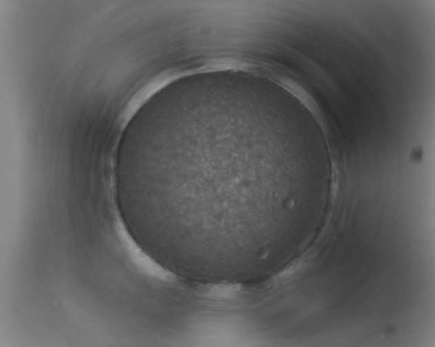 X0000114131055200910151540