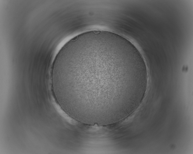 X0000114131056200910151540