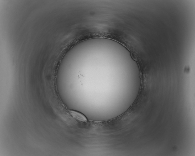 X0000114131057200910151540