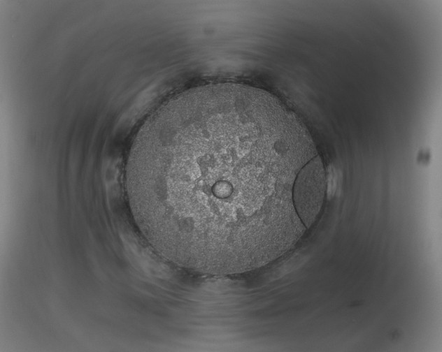 X0000114131059200910151540