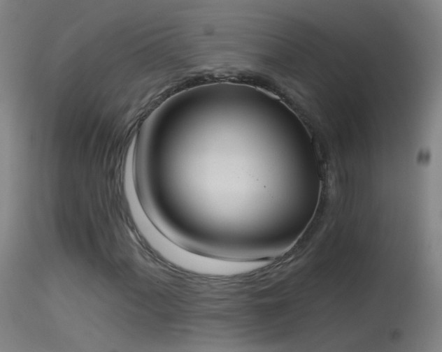 X0000114131060200910151539