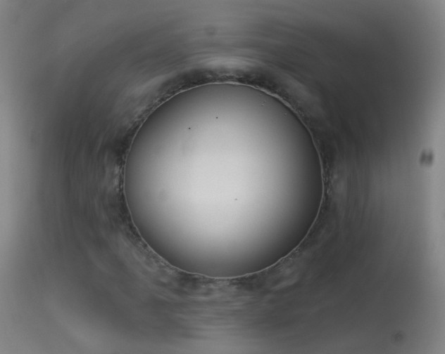 X0000114131061200910151539