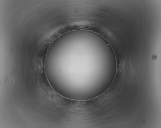 X0000114131062200910151539