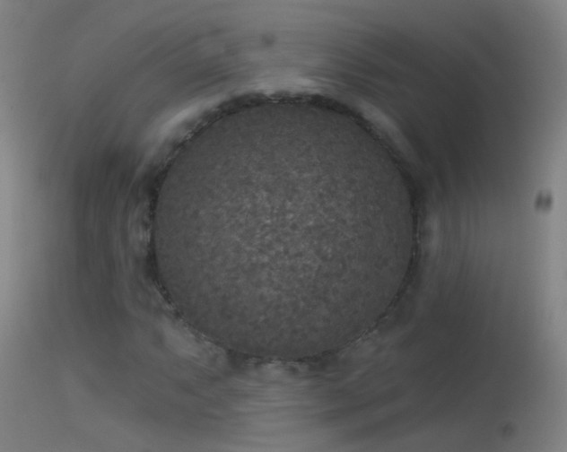 X0000114131063200910151539