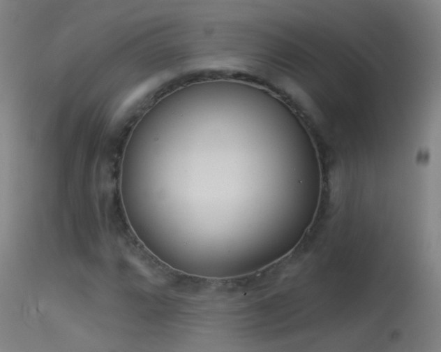 X0000114131064200910151539