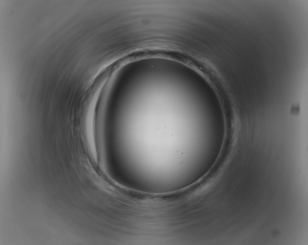 X0000114131065200910151539