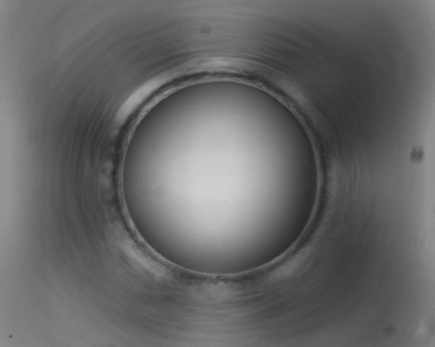 X0000114131066200910151539