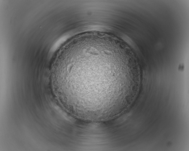 X0000114131067200910151539