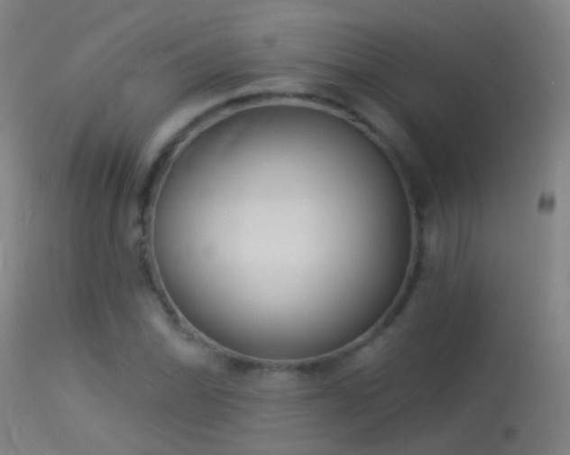 X0000114131070200910151539