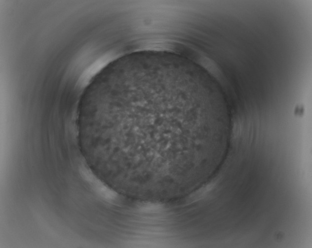 X0000114131071200910151539