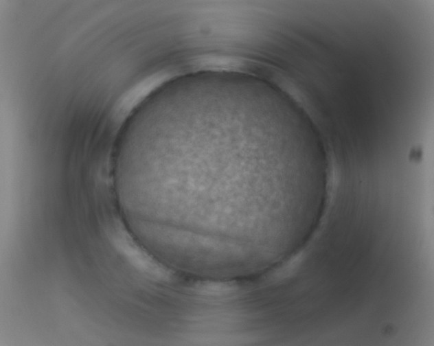 X0000114131074200910151539