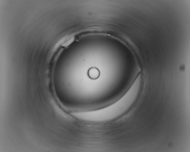 X0000114131075200910151539