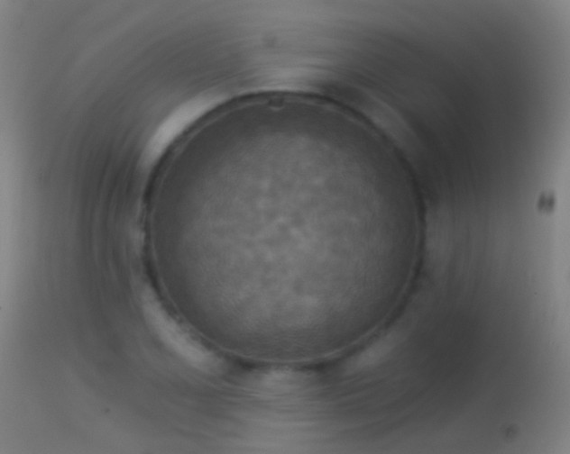 X0000114131077200910151539