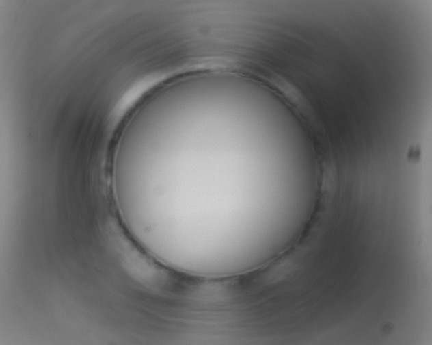 X0000114131078200910151539