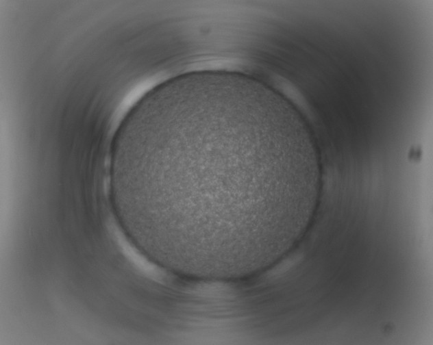 X0000114131079200910151539