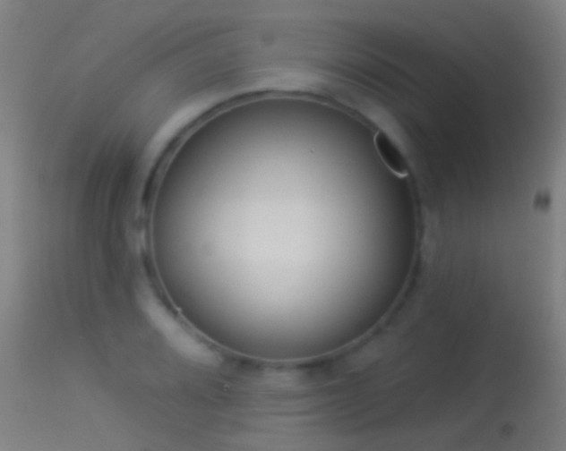 X0000114131080200910151539