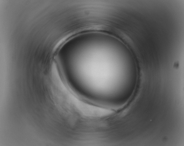 X0000114131081200910151539