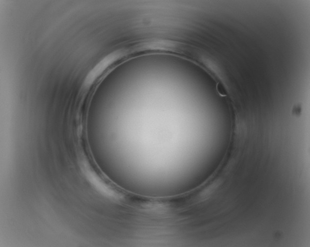 X0000114131082200910151539