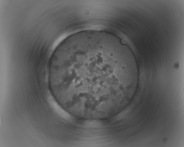 X0000114131083200910151539