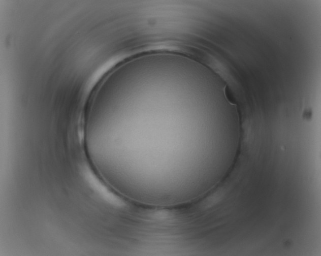 X0000114131084200910151539