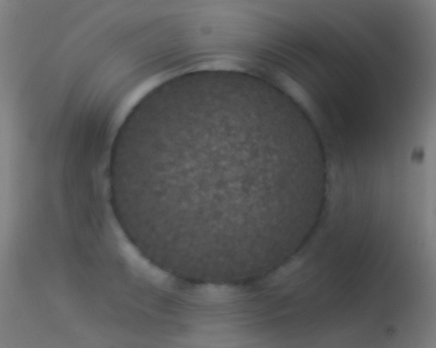 X0000114131087200910151539