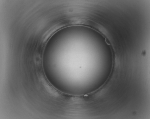 X0000114131089200910151539