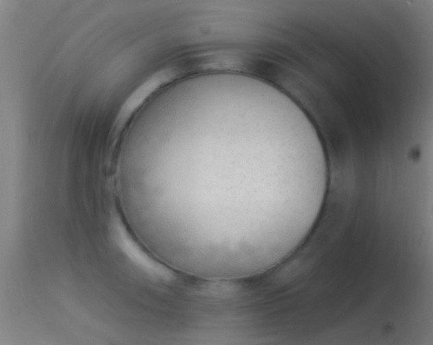 X0000114131090200910151539