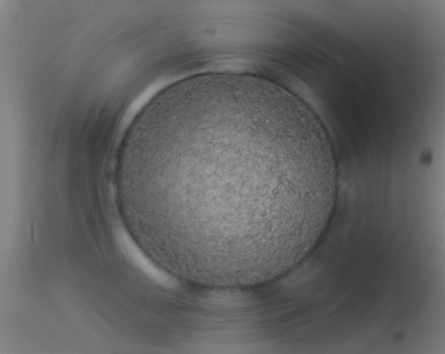 X0000114131091200910151539