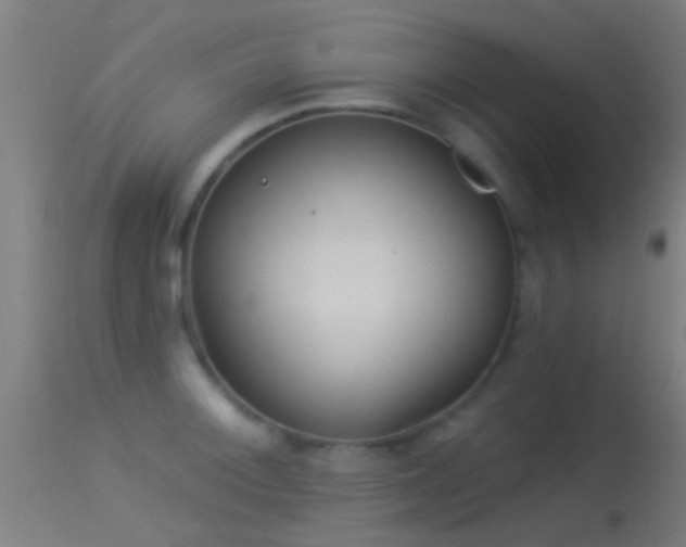 X0000114131092200910151539