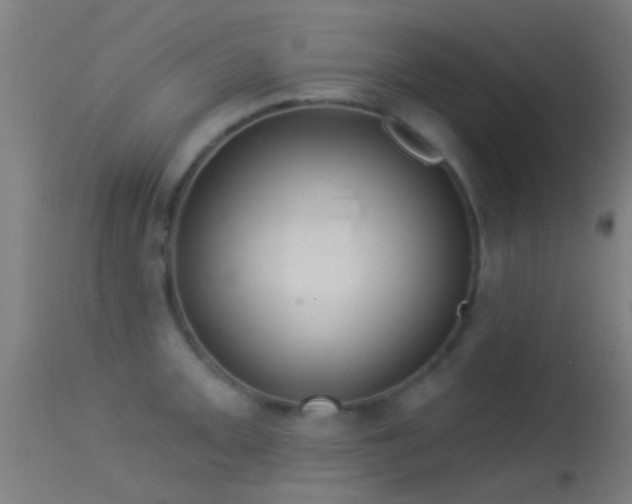 X0000114131093200910151539