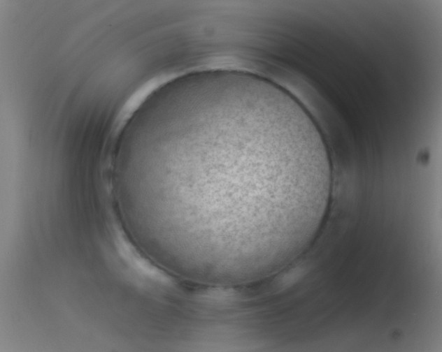 X0000114131094200910151539